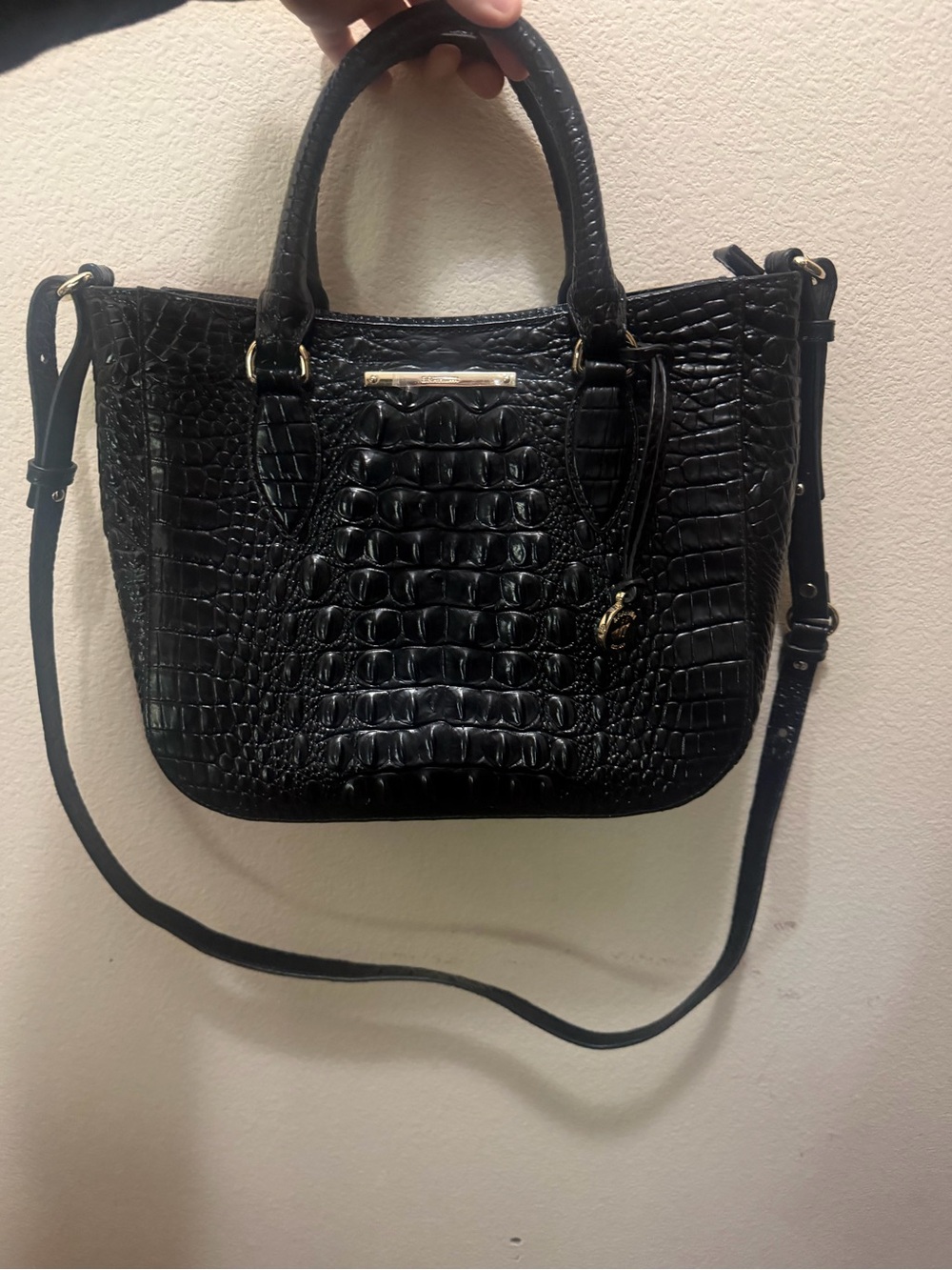 Brahmin